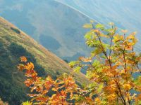 W towarzystwie złotej jesieni nabieramy wysokości mozolnie pnąc się w górę.